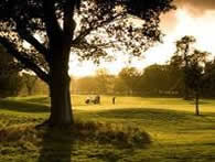 Marriott Forest of Arden Birmingham Airport
