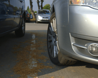 Gosforth Park Parking Packages